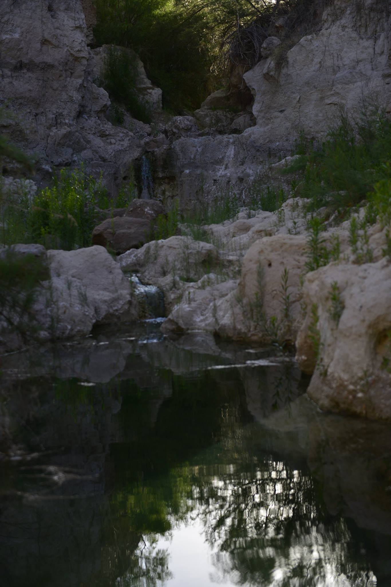 Cementerio del Mamut